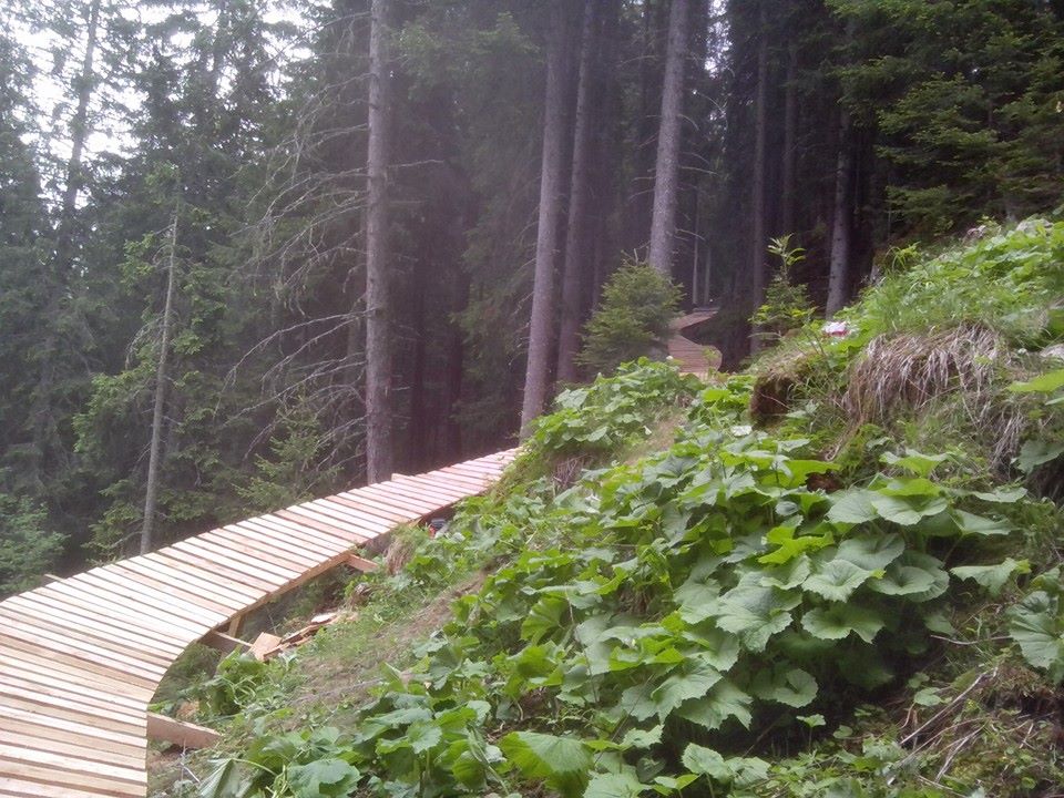 Bike Trail Builders, una storia tutta italiana mountainbike.bicilive.it