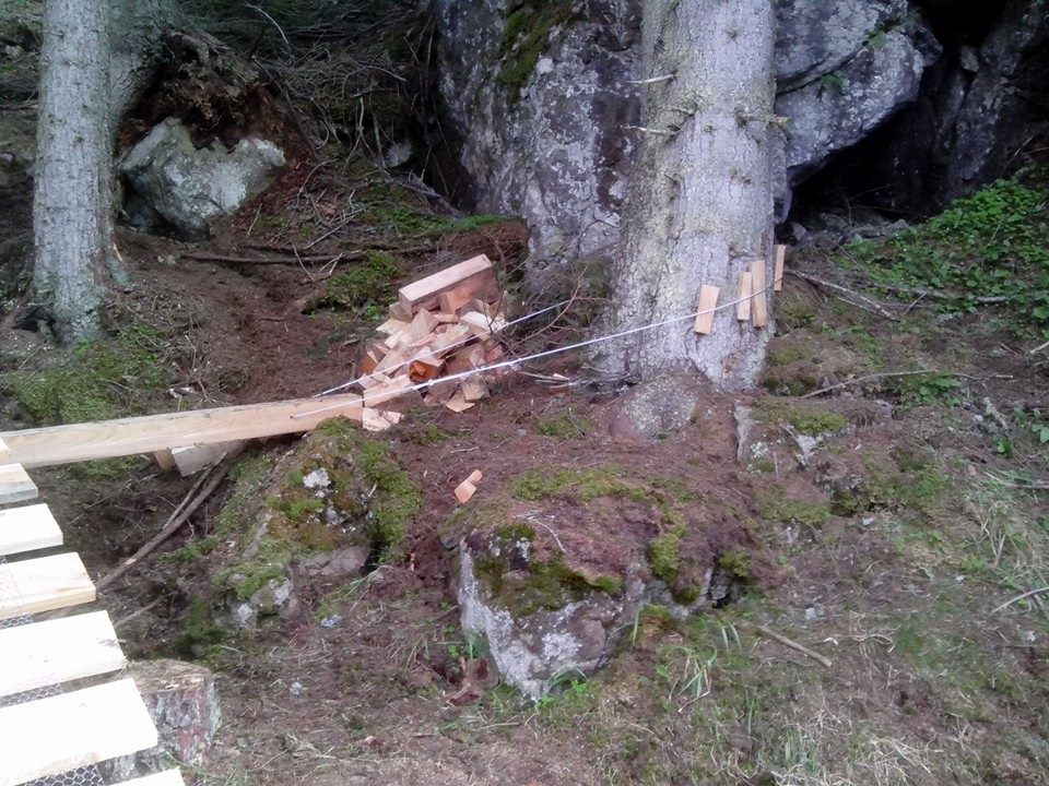 Ancoraggi-tree-friendly-a-Selva-Val-Gardena.jpg