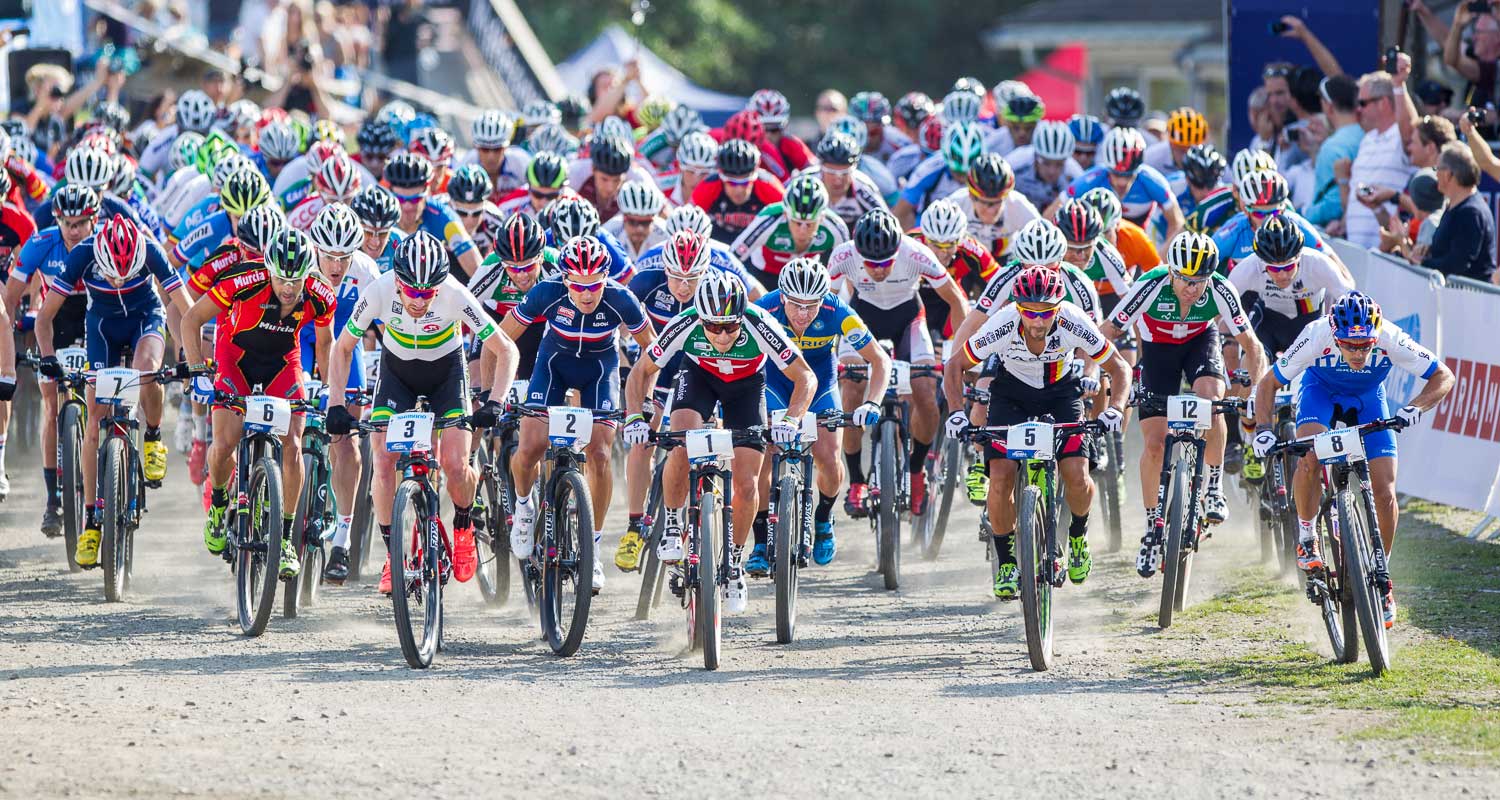 Montichiari Top