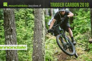cannondale trigger carbon 2018 all mountain