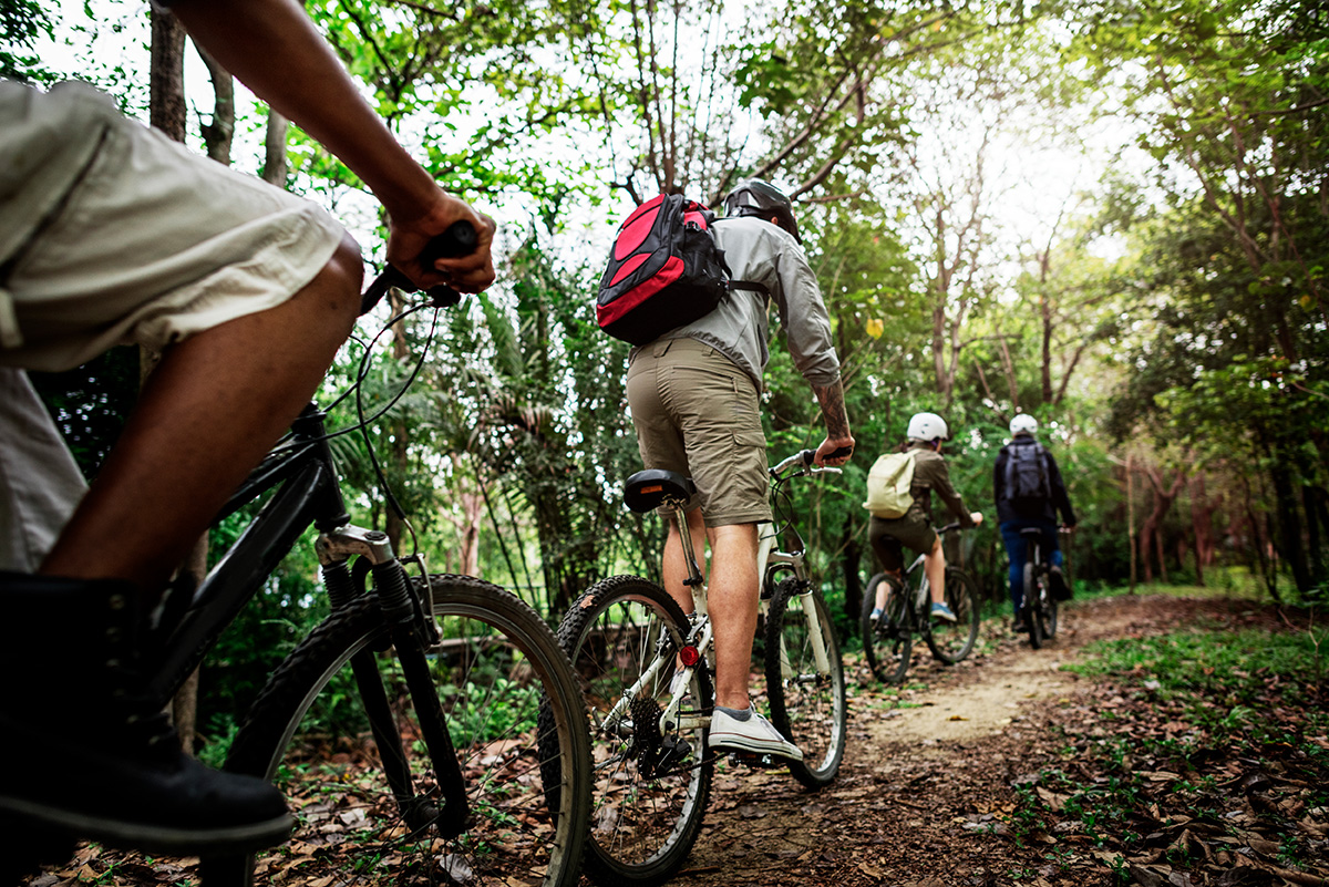 Un gruppo di ciclisti mountainbike percorre un percorso nel bosco in fila indiana