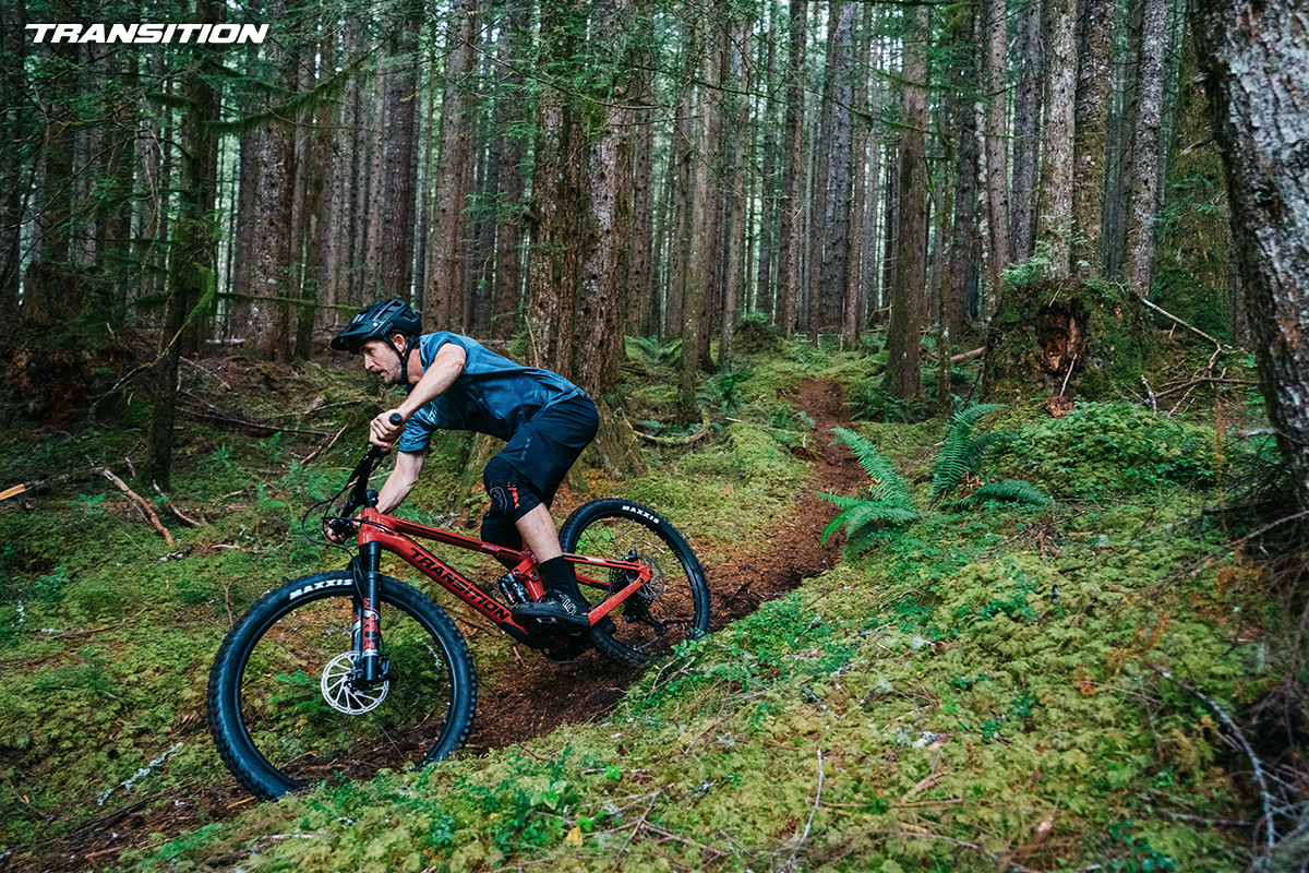Un rider pedala per un sentiero nel bosco con la nuova mtb Transition Scout Alloy 2022