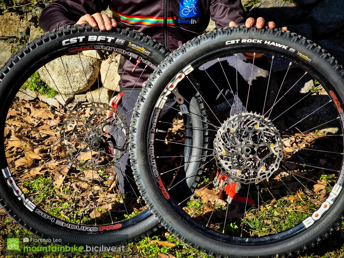 Foto dei pneumatici CST BFT e Rock Hawk per mountain bike