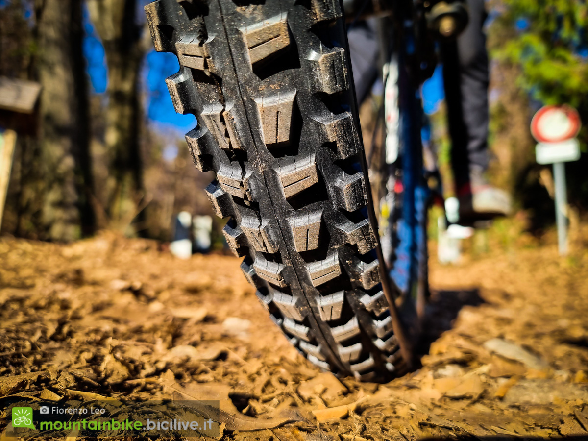 Foto del pneumatico CSt BFT montato su una mountain bike