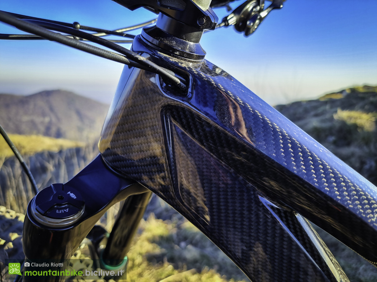 Foto della mountain bike da enduro Pedroni Mate e della serie sterzo